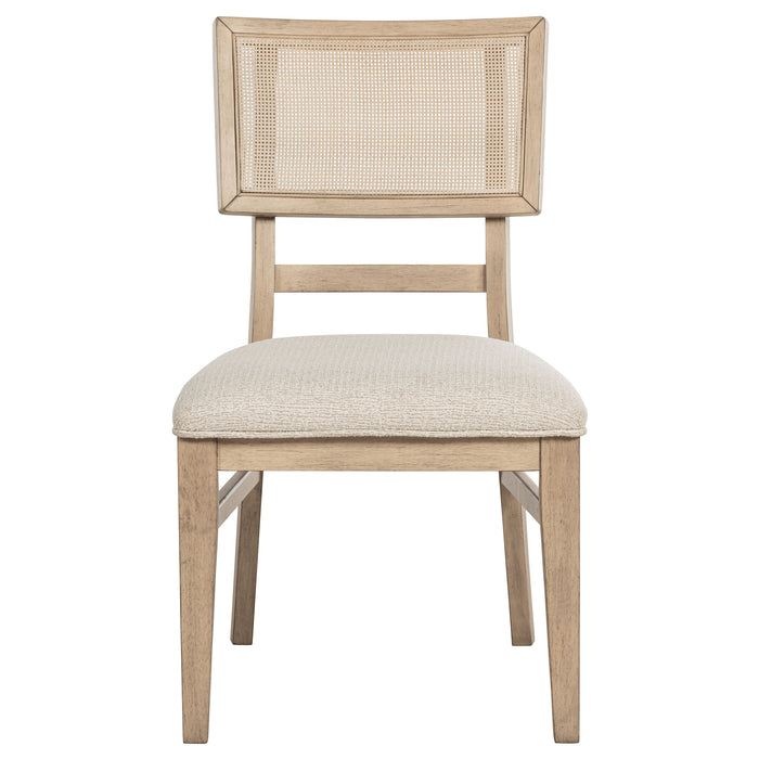 Kailani Side Chair - Home Discount Furniture - NJ-linden