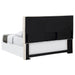 Kosmo Queen Headboard - Home Discount Furniture - NJ-linden