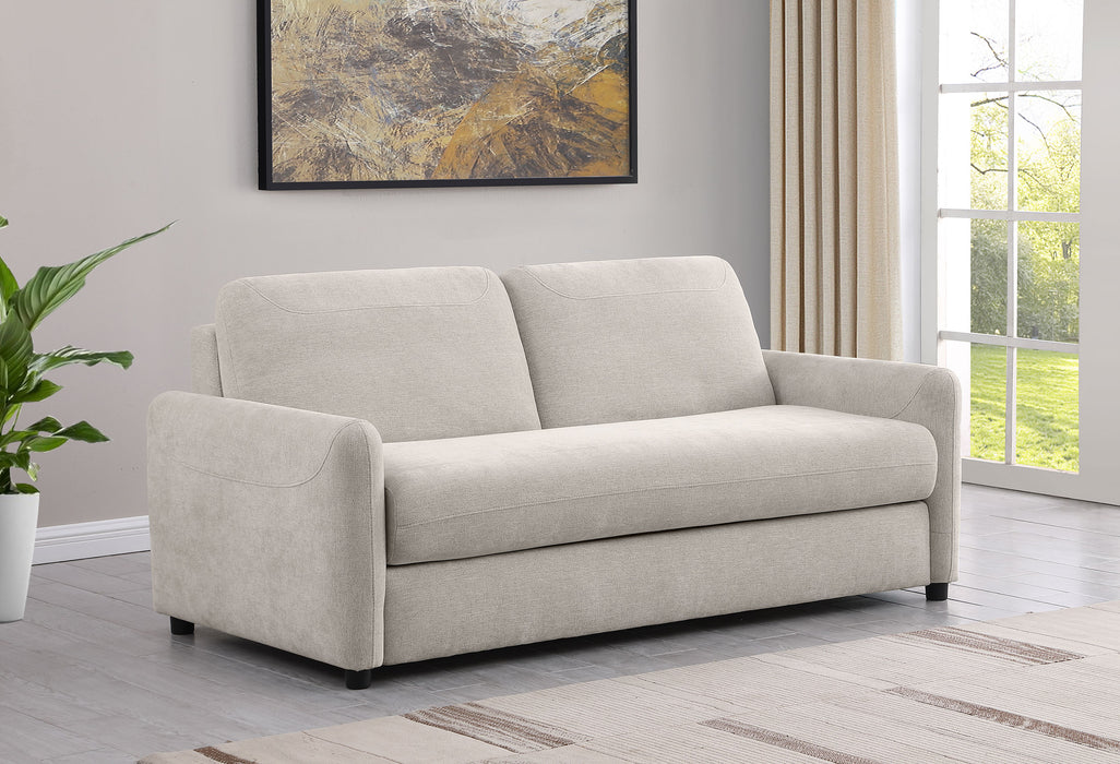 Rylie Sleeper Sofa - Home Discount Furniture - NJ-linden