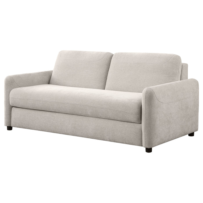 Rylie Sleeper Sofa - Home Discount Furniture - NJ-linden