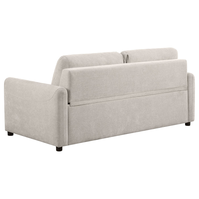 Rylie Sleeper Sofa - Home Discount Furniture - NJ-linden