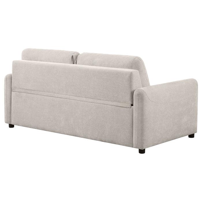 Rylie Sleeper Sofa - Home Discount Furniture - NJ-linden