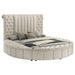 Sonya Queen Bed - Home Discount Furniture - NJ-linden