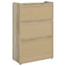 Denia Shoe Cabinet - Home Discount Furniture - NJ-linden