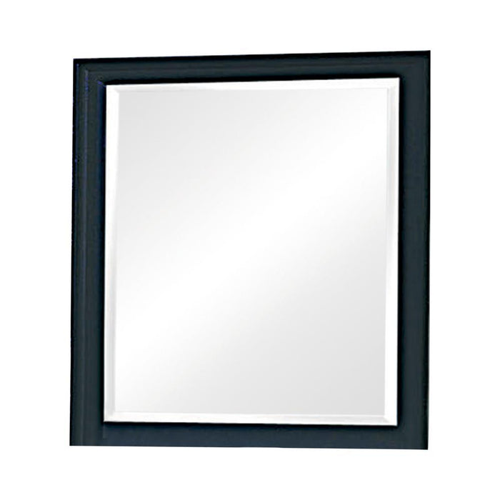 Sandy Beach Vertical Dresser Mirror Black - Home Discount Furniture - NJ-linden