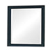 Sandy Beach Vertical Dresser Mirror Black - Home Discount Furniture - NJ-linden
