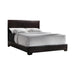 Conner Queen Upholstered Panel Bed Black and Dark Brown - Home Discount Furniture - NJ-linden