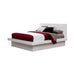 Jessica Queen Platform Bed with Rail Seating White - Home Discount Furniture - NJ-linden