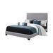Boyd Eastern King Upholstered Bed with Nailhead Trim Grey - Home Discount Furniture - NJ-linden