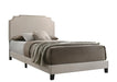 Tamarac Upholstered Nailhead Queen Bed Beige - Home Discount Furniture - NJ-linden