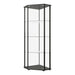 Zenobia Glass Shelf Curio Cabinet Clear and Black - Home Discount Furniture - NJ-linden