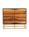 Zara 2-door Accent Cabinet Black Walnut and Gold - Home Discount Furniture - NJ-linden