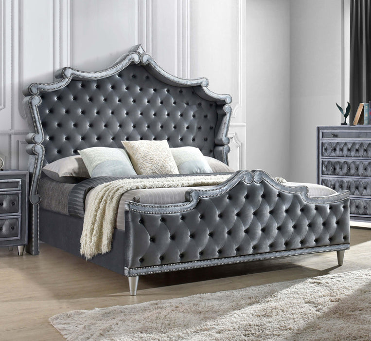 Antonella Upholstered Tufted Eastern King Bed Grey - Home Discount Furniture - NJ-linden