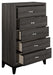 Davi Chest in Gray 1645-9 - Home Discount Furniture - NJ-linden